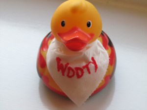 WDDTY duck 001
